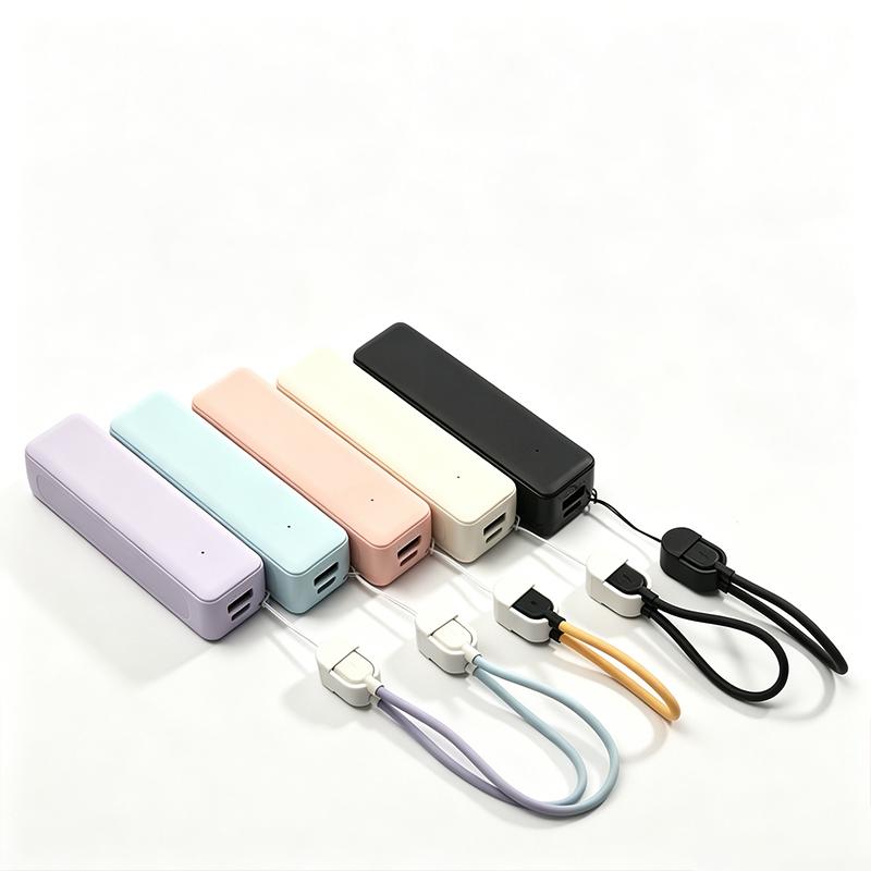 21700 Batterie-Powerbank-Gehäu – Diy Electronics Set Bewertung und Preis